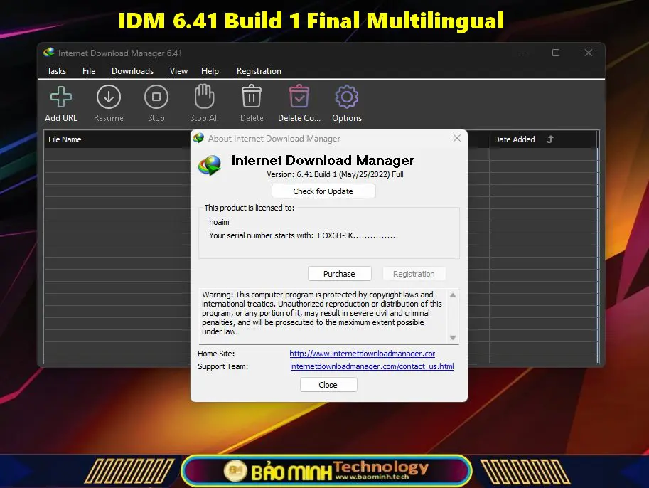 internet download manager idm 6 1